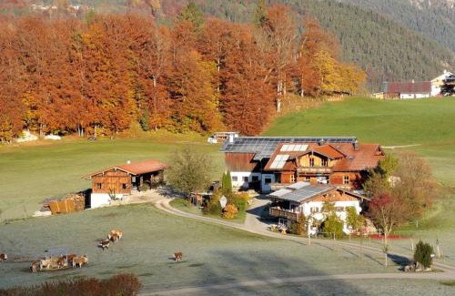 Bischofswiesen Apartment | Oberreitlehen