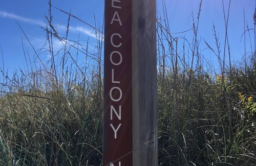 Duck Condo | Ocean Breeze - Two Minute Walk to the Beach, One if You Run!