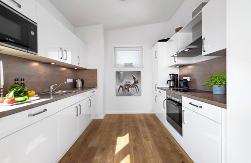 Olpenitz Apartment | "Ocean Queen" Baltic Sea vacation with 3 minutes walk to the beach, fireplace and sea view