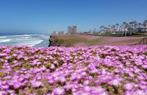 Popotla Apartment | Ocean View Rosarito WorldMark Resort Condo