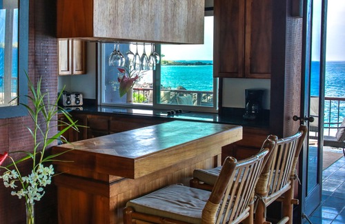 Honaunau-Napoopoo House | Oceanfront Hot Tub! Kayaks! Snorkeling! Dolphins! WEDDINGS WELCOME!