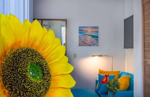 Nassau Apartment | Oceanfront Lemon Cottage
