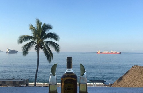 Manzanillo Condo | OCEANFRONT! 🏖 PENTHOUSE WITH A VIEW 🐳 🚢