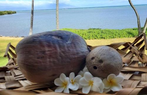 Ualapue Apartment | Oceanfront true 2 bedroom w/lanai on Molokai