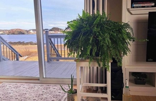 Twillingate House | Oceanview Beachfront Two Bedroom Home with Large Outdoor Patio in Twillingate NL