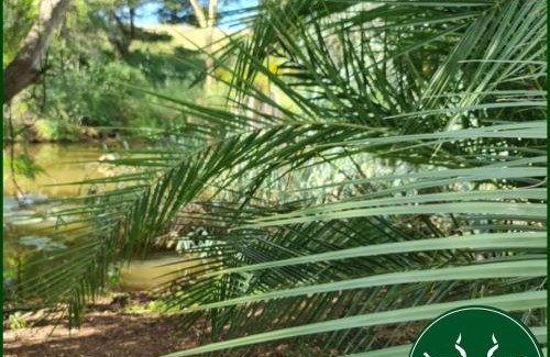 Hluhluwe Other | Off-Grid Campsites at Ngweni Private Game Farm Accommodation