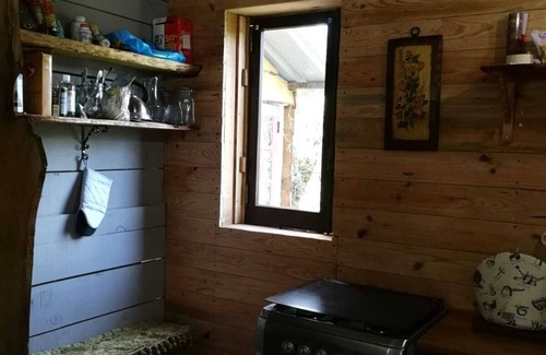 Moitas Cabin | Off-grid, romantic wooden cabin with library and cottage gardens