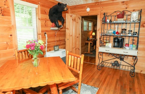 Willis Cabin | Off the Beaten Path by Buffalo Mountain Getaway