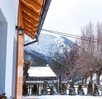 Moieciu House | Ograda Magura village