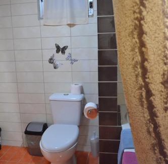 Sarti Apartment | Oikia Samiotaki Emmanouil