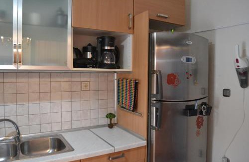 Sarti Apartment | Oikia Samiotaki Emmanouil