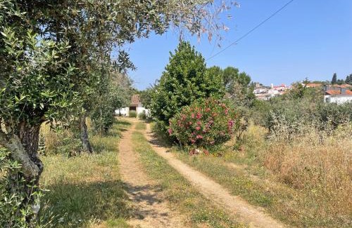 Castelo de Vide House | Ola Linda - Casa de Campo -