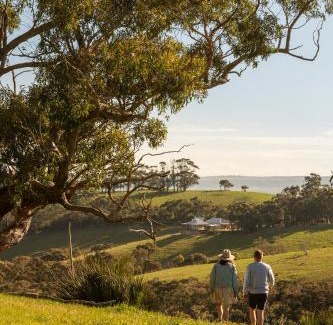 Hindmarsh Valley Cabin | Old Coach Road Estate