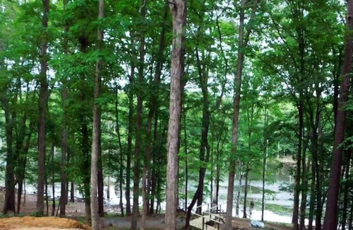 Nacogdoches Cabin | Old Place Cabins- The Cottage Kayak Relax Fish on Lake Naconiche