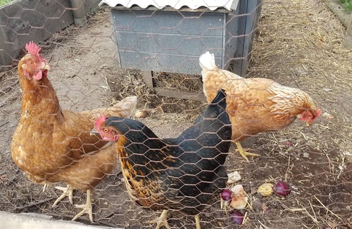 Desertines House | old winegrower's house with hammam and spa 5 minutes from Montluçon