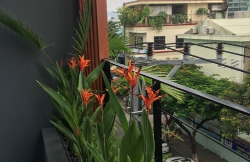 Hai Chau House | Olga Apartment Danang for 03 person At Downtown