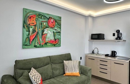 Satu Mare Apartment | Olive Deluxe King Studio by Eclectic 6