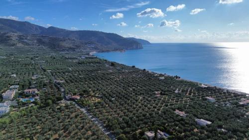 Mattinata Apartment | Olive&Sea Villa-SEA