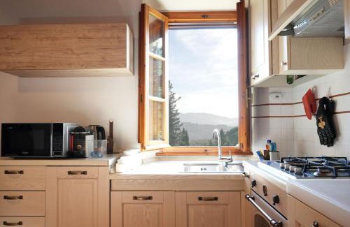 Impruneta Apartment | Olive Tree Apartment
