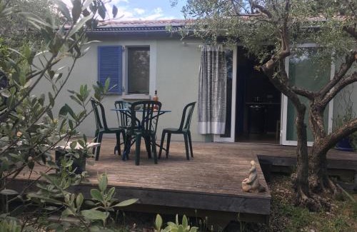 Corconne House | OLIVER