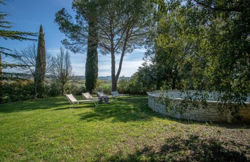 Roccastrada Villa | Olivos