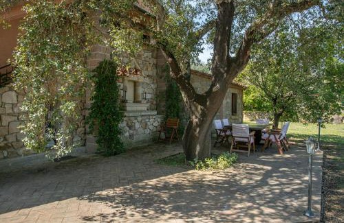 Roccastrada Villa | Olivos