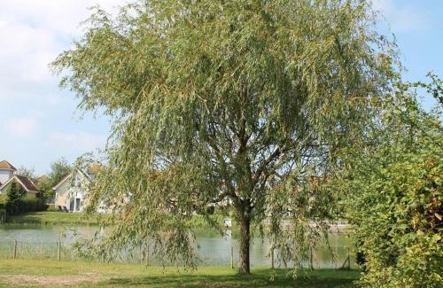 Kamperland House | on the lake Comfortable holiday residence