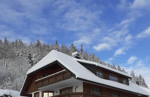 Menzenschwand-Hinterdorf House | One-bedroom apartment