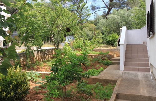 Artatore Apartment | One bedroom apartment with air-conditioning Artatore, Lošinj (A-8007-a)