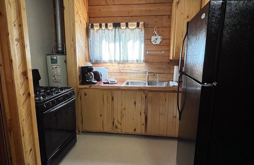 Almont Cabin | One Bedroom Cabin with Ample Parking and Space from Neighboring Cabins