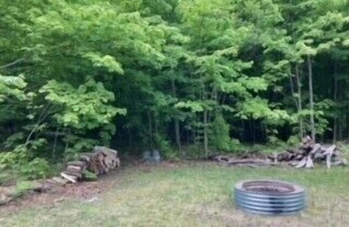 Empire House | one bedroom camp in the woods minutes from Sleeping Bear National Park