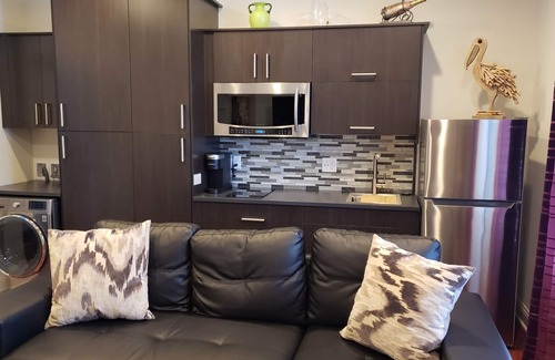 Hoffman Estates Apartment | ONE-BEDROOM EUROPEAN STYLE DELUXE SUITE