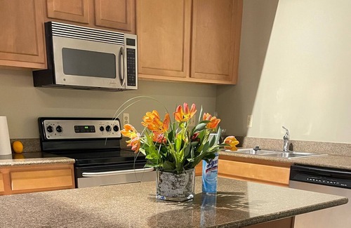 Detroit Apartment | One bedroom with a beautiful view downtown Detroit With Free Parking