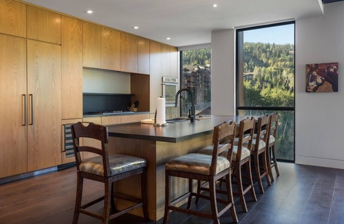 Empire Pass Condo | One Empire Pass Lodge at Deer Valley Resort - Four Bedroom Residence #401