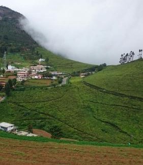 Ooty Villa | OOTY GREENWICH COTTAGE