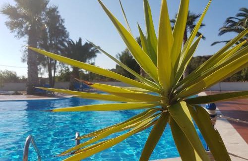 Sigri Hotel | Orama Hotel