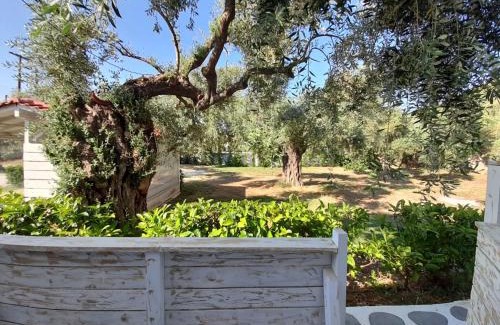 Megalos Prinos Hotel | Orama Thassos