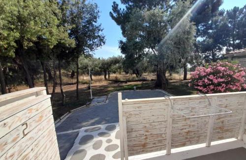 Megalos Prinos Hotel | Orama Thassos