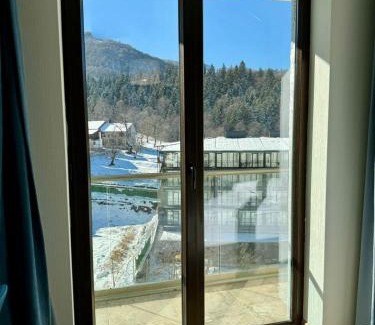 Bakuriani Apartment | Orbi Palace Studio Apartment