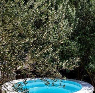 Riebeek Kasteel Apartment | Orchard Cottage