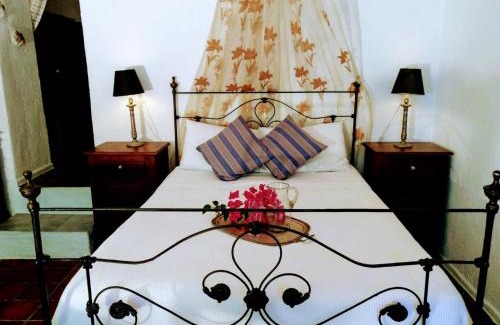 Lagoudi Zia Apartment | Orea Ellas Kos - Apartments & Bistro-Café