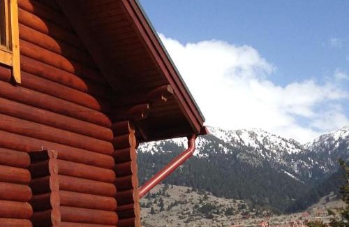 Distomo-Arachova-Antikyra Ski Chalet | Orino Livadi Chalet III
