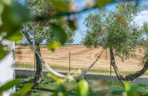 Villa Musone Bed & Breakfast | OrtoPì Country Canapa House