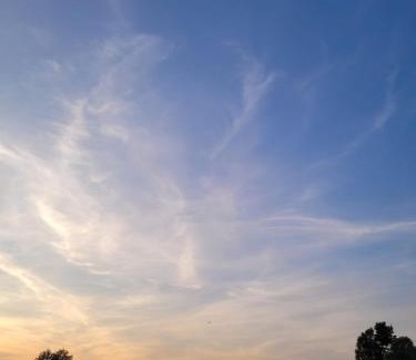 Stare Juchy Other | Orzechowy Przylądek