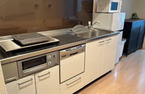 Kitahama Apartment | Osaka Castle, Nakanoshima and Osaka-Tenmangu/Orizuru Kitchen Apartment 202