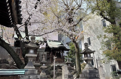 Kitahama Apartment | Osaka Castle, Nakanoshima and Osaka-Tenmangu/Orizuru Kitchen Apartment 202