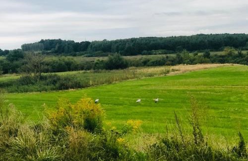 Morag Bed & Breakfast | Ostoja Morąg