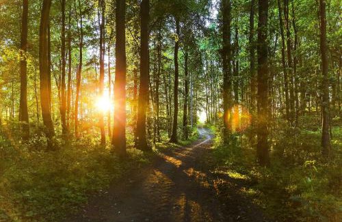 Schashagen Other | Ostsee-Chaletpark Hotel