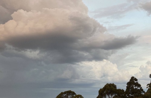 Lorne Cottage | Otway treetop cottage, emersed in nature, drive to the beach