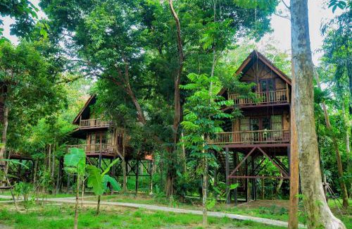 Khlong Sok Resort | Our Jungle Camp - Eco Resort